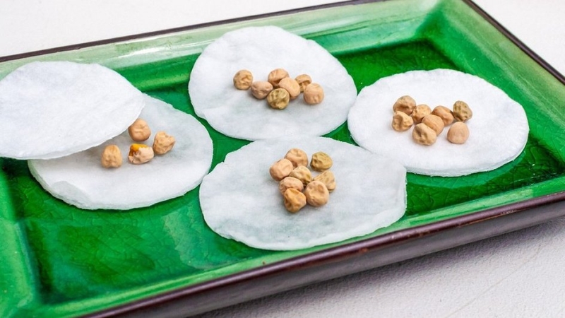 Как все успевать на участке: 15 проверенных советов и лайфхаков для эффективного ухода за садом и огородом