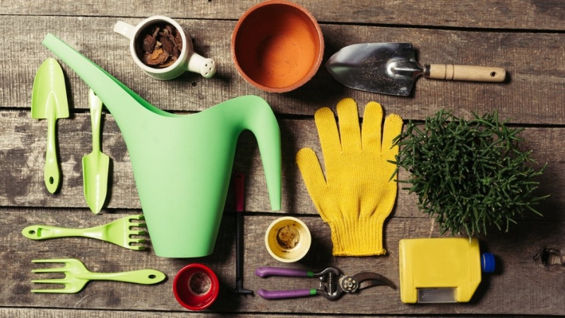 Как все успевать на участке: 15 проверенных советов и лайфхаков для эффективного ухода за садом и огородом