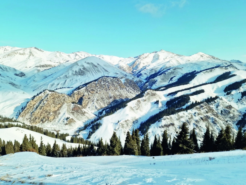 Тянь-шаньский магнит. За горным кабаном и козерогомДождавшись, когда правые козероги скрылись за хребтом, мы поехали вниз. Как мы и предполагали, левая группа нас срисовала, как только мы показались на фоне неба и тремя темными точками направились вниз, хотя дистанция до козлов была порядка трех километров