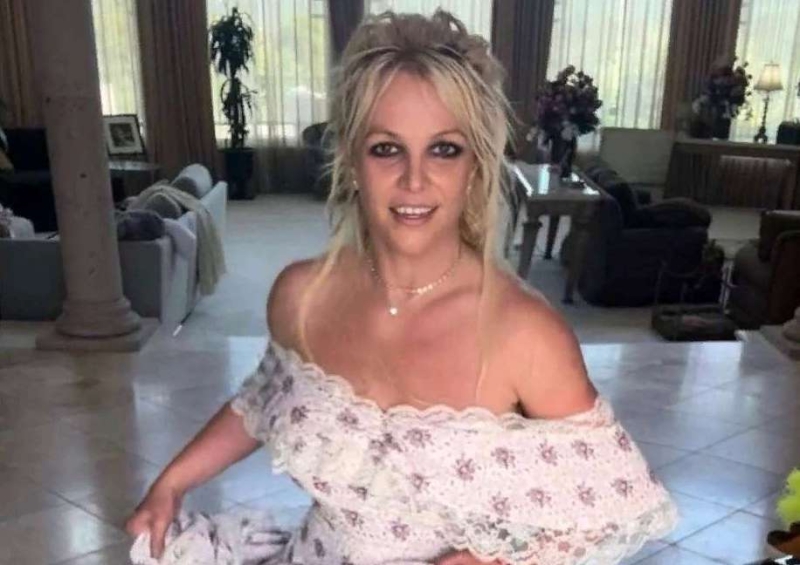 Самое время: какие деревья и кустарники лучше сажать в августе