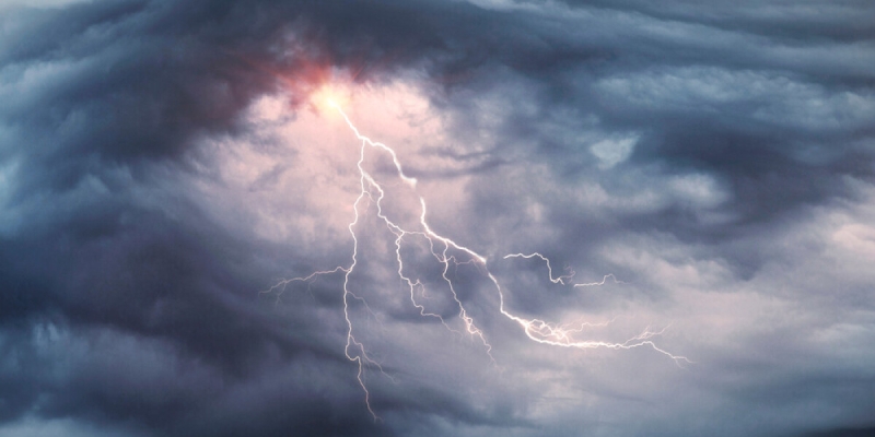 Как выращивают цитрусовые в Азербайджане