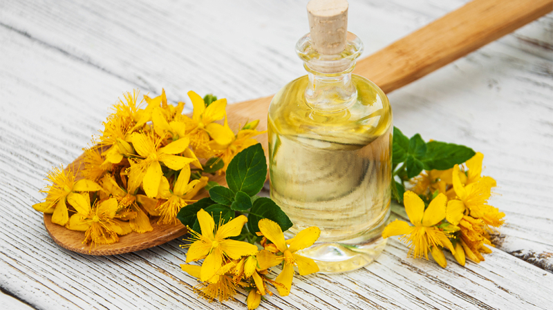 Что уже можно собирать и сушить впрок в июне: травы, листья, ягоды