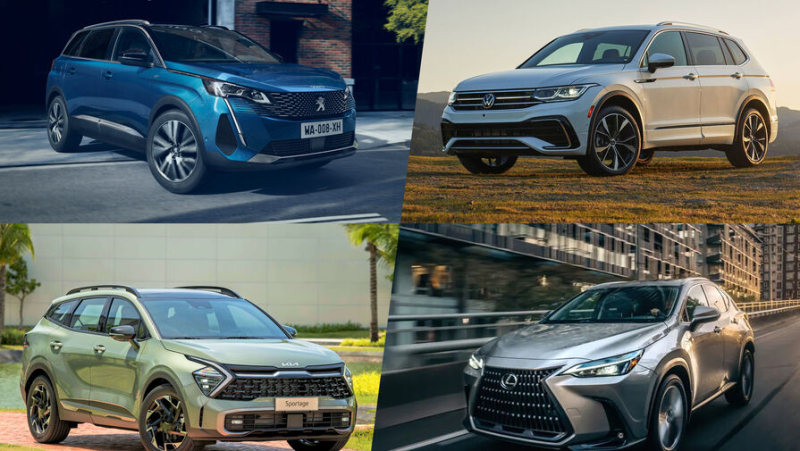 С ноября россиянам заблокируют ввоз некитайских иномарок. Какие модели останутся